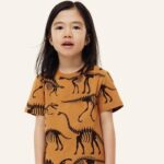 تیشرت دایناسوری اچ اند ام ( H&M )-آنوکیدز
